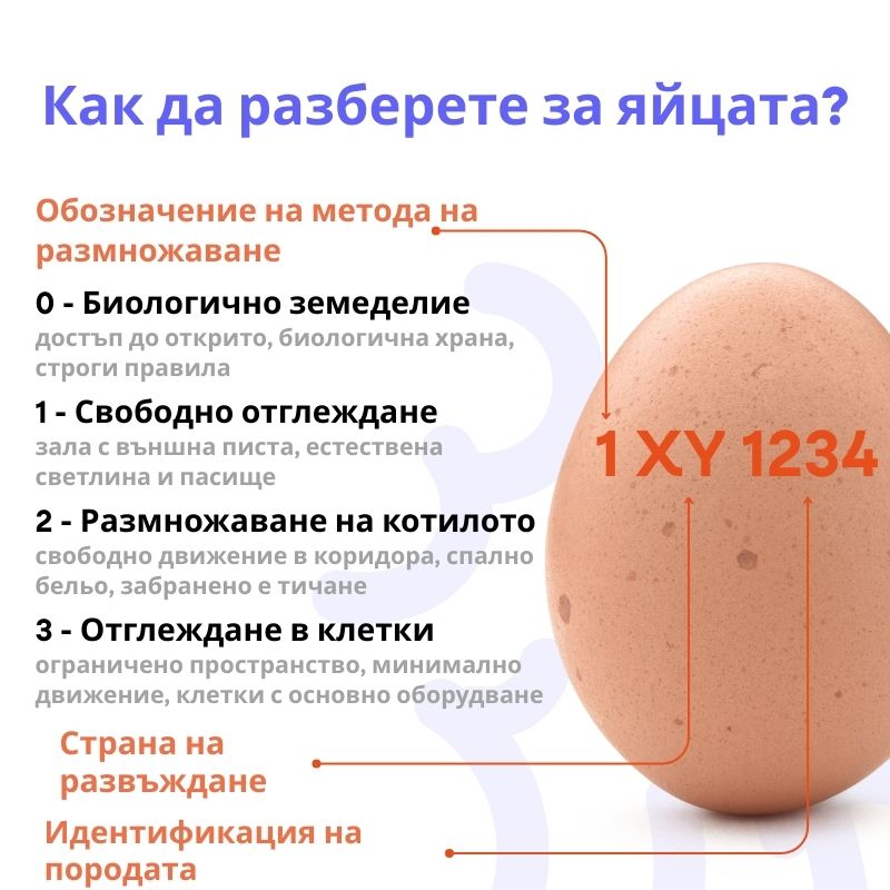 (Bulharština) (44)